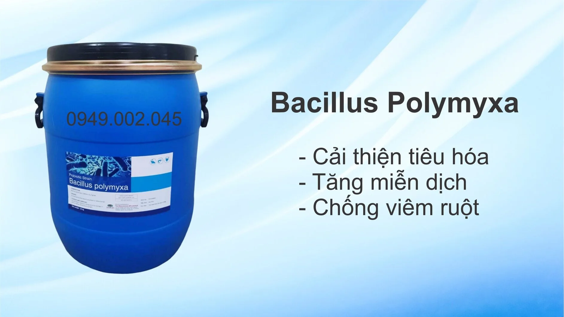 BACILLUS POLYMYXA.jpg