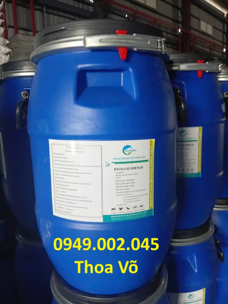 Bacillus Subtilis (1).webp