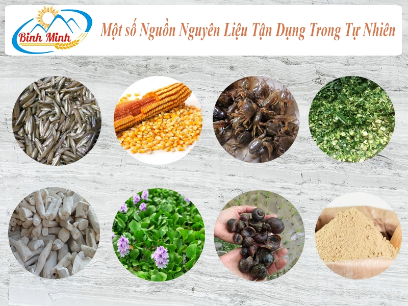 bài chăn nuôi 1.webp