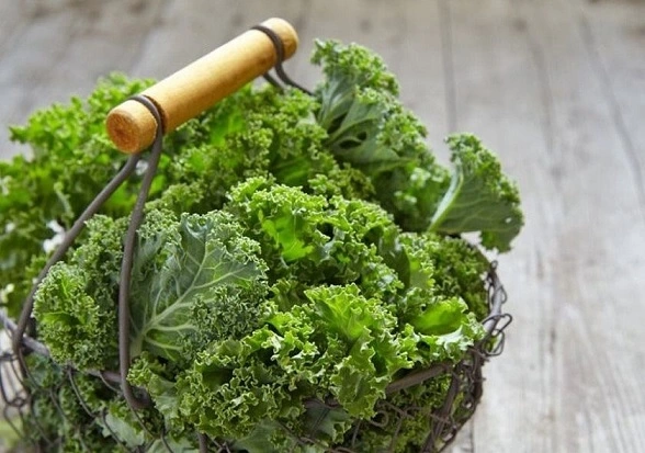 ban-cay-cai-xoan-kale-5.webp