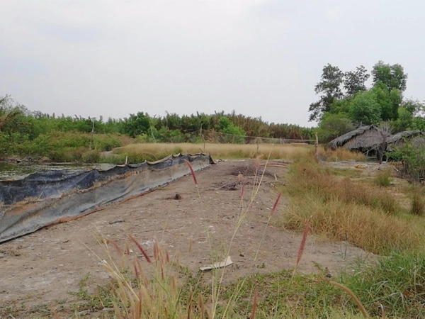 Cần bán đất mặt tiền đường Rừng Sác