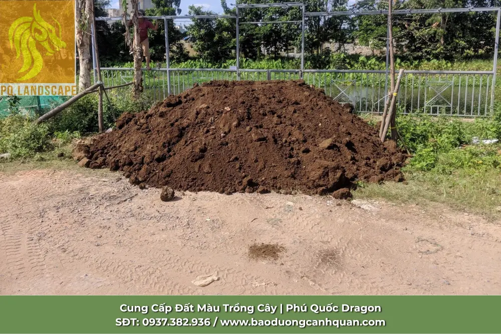 ban-dat-trong-cay-tphcm-giao-tan-noi.jpg.webp