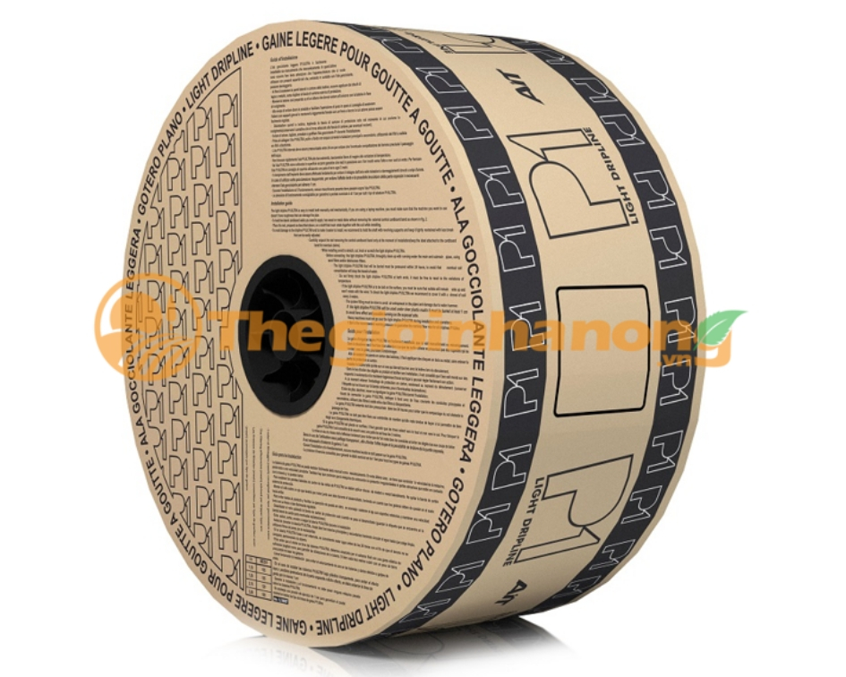 Bản sao của Thiết kế không tên.webp