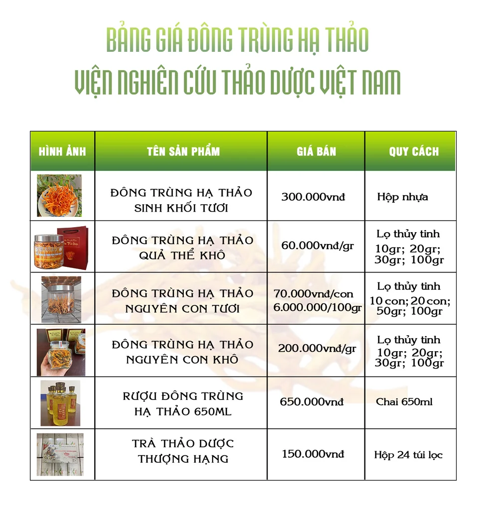 bang-gia-dong-trung-ha-thao-vien-nghien-cuu-thao-duoc-viet-nam-moi.webp