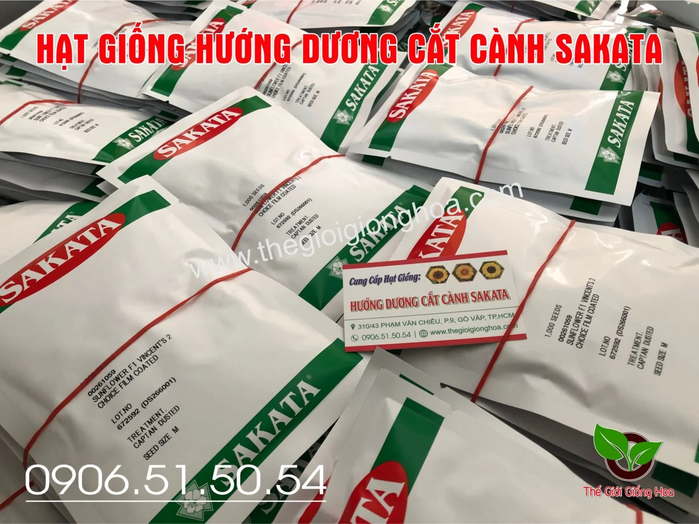 BAO BI CHOICE 1.webp