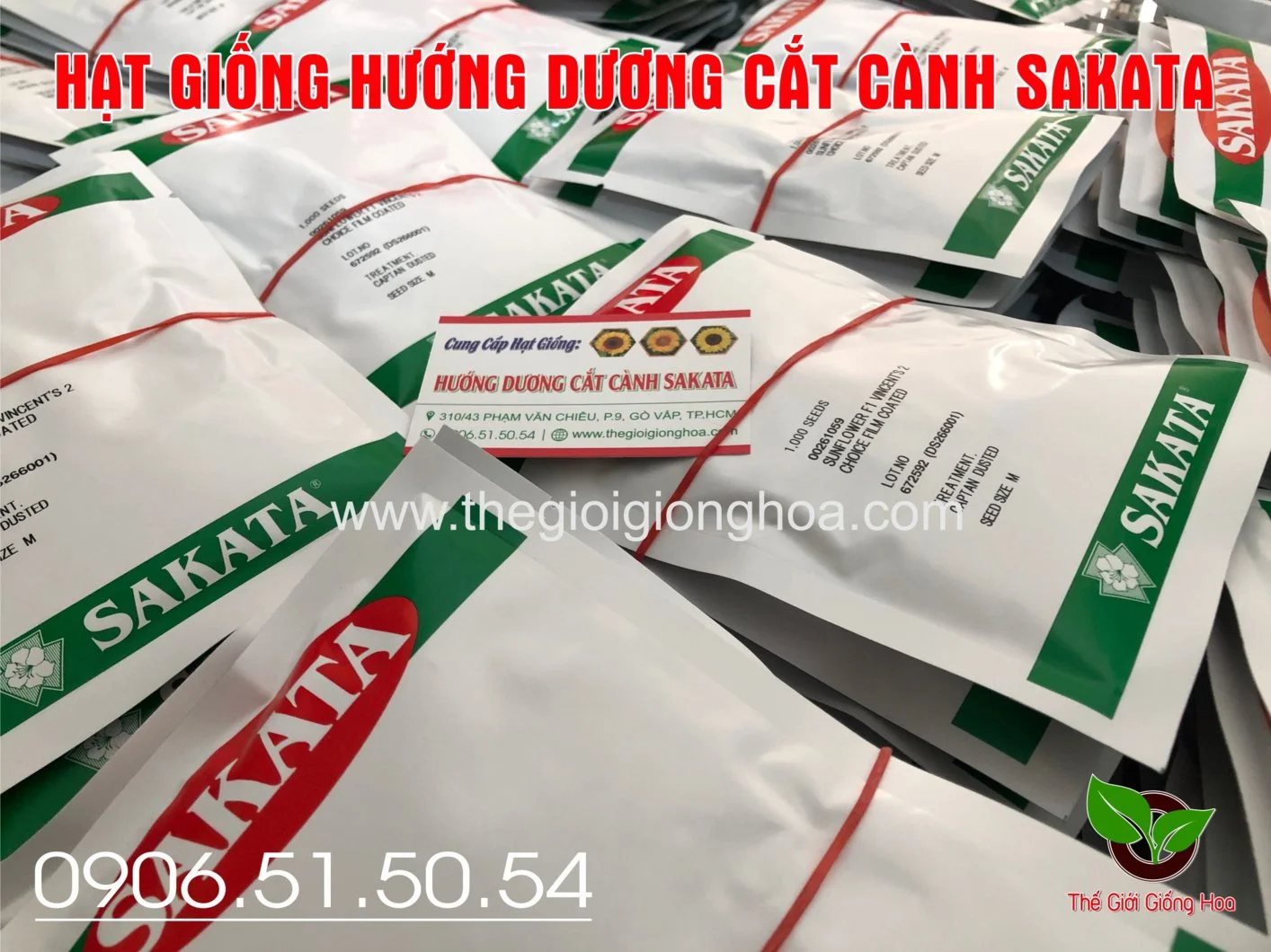 BAO BI CHOICE 2.webp