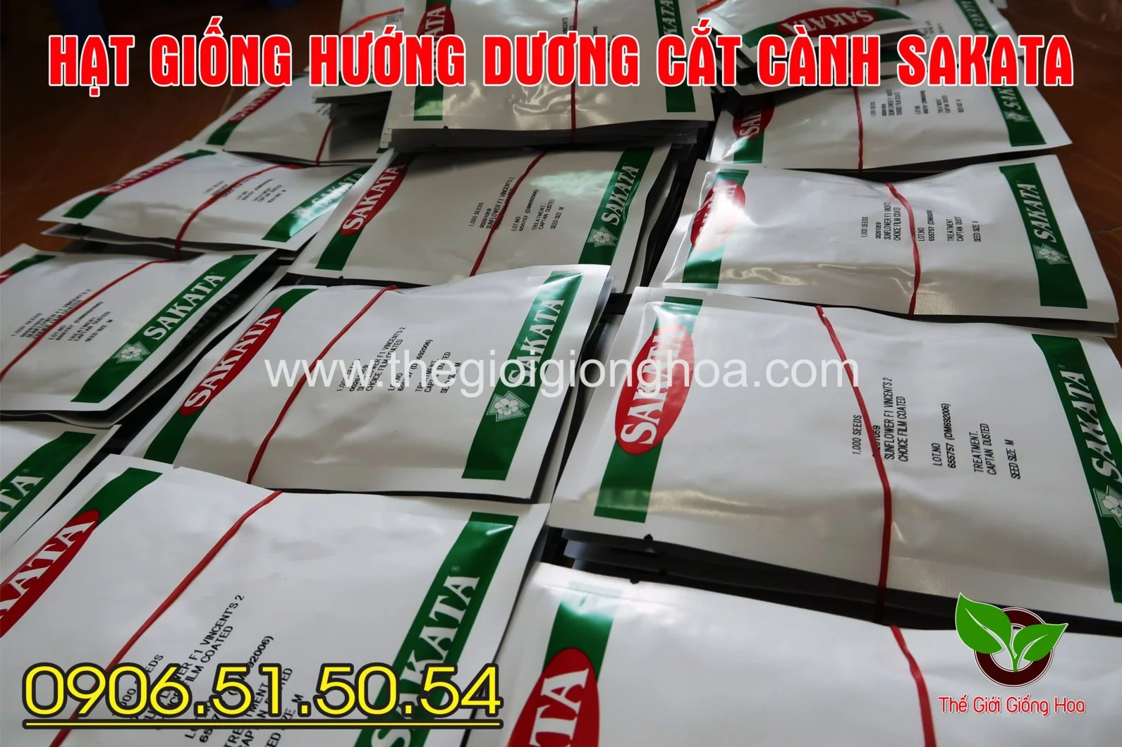 BAO BI CHOICE 3.webp