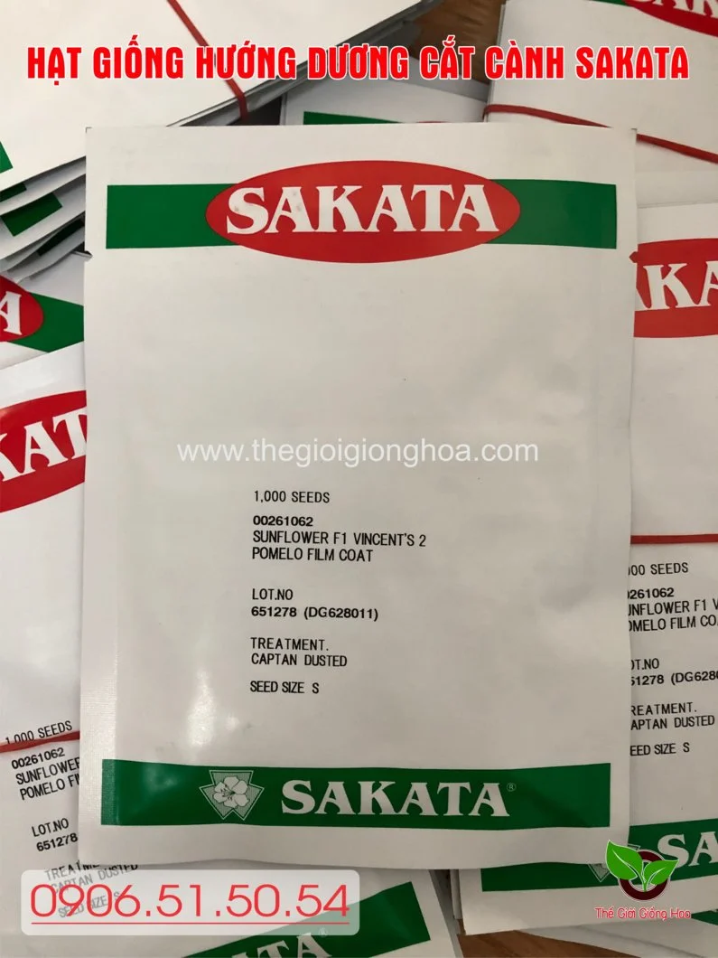 BAO BI POMELO 2.webp