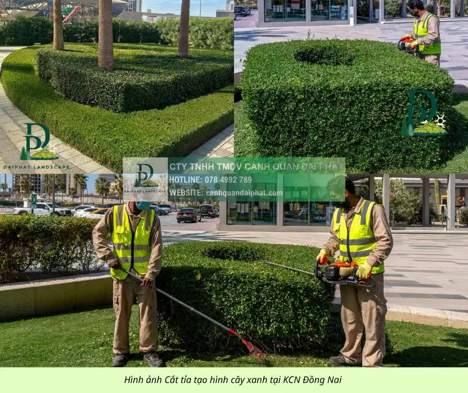 Bảo dưỡng cảnh quan Khu Công nghiệp Đồng Nai 4.webp