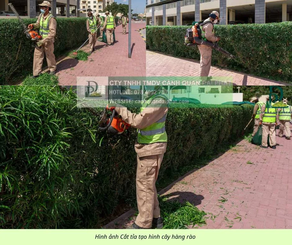 Bảo dưỡng cảnh quan Khu Công nghiệp Đồng Nai 7.webp