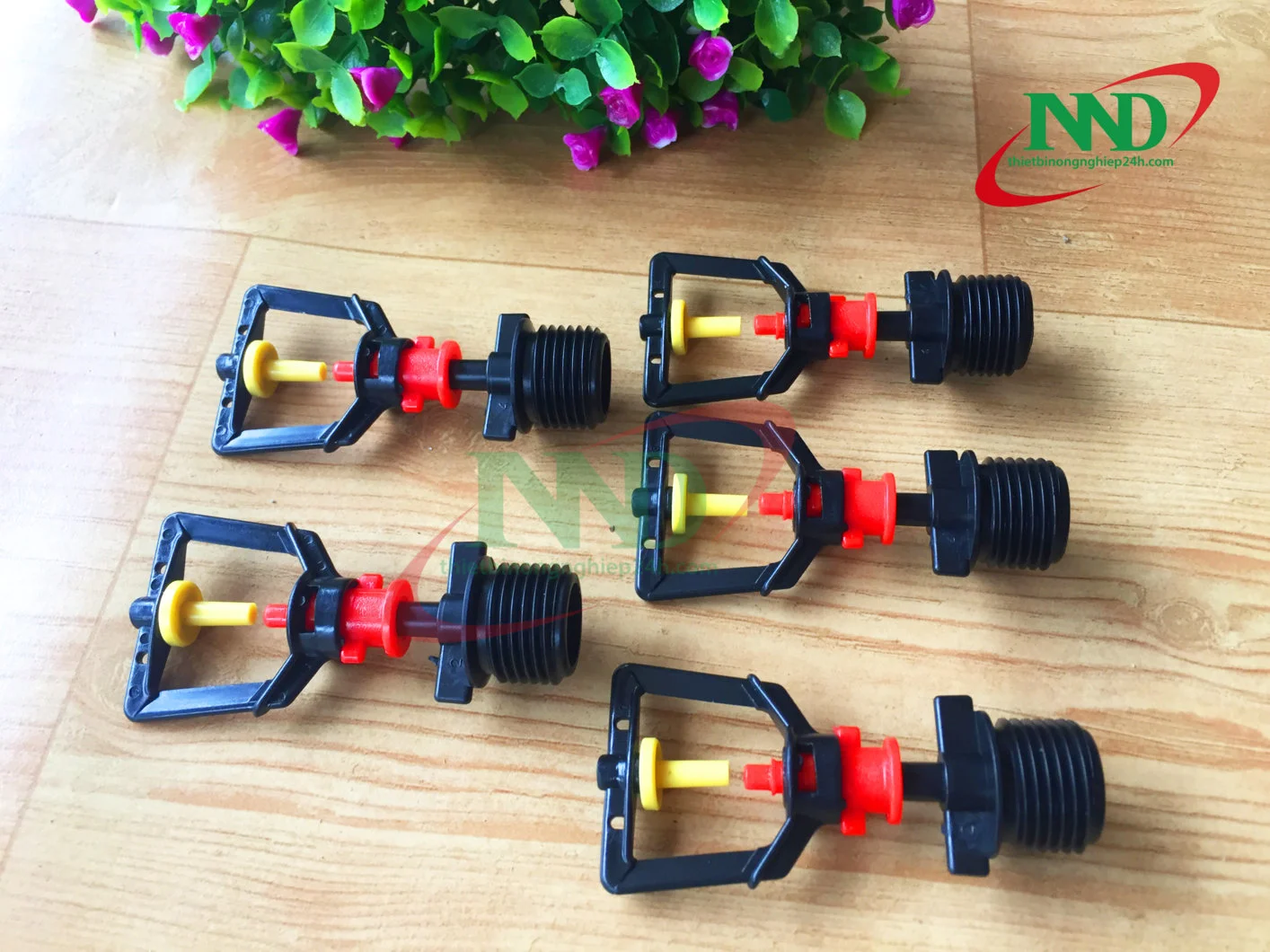 BÉC XOÈ - REN 21.webp