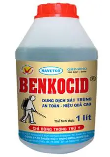 BENKOCID.webp
