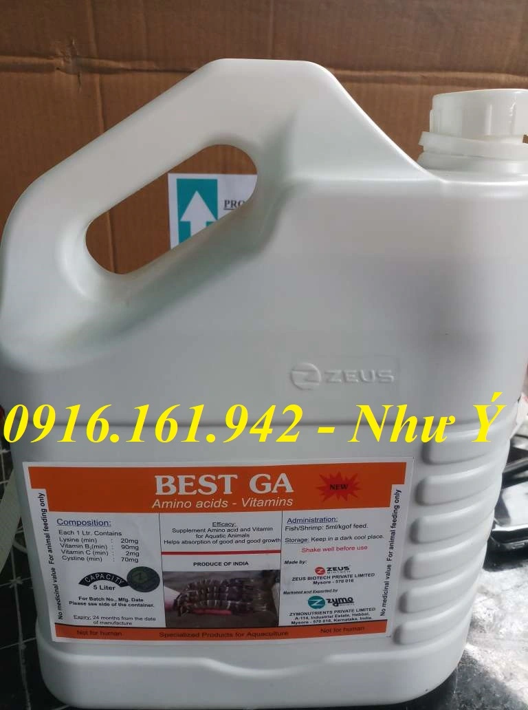 best ga mới 2019 1.webp