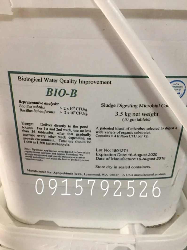 Bio-B 10.webp