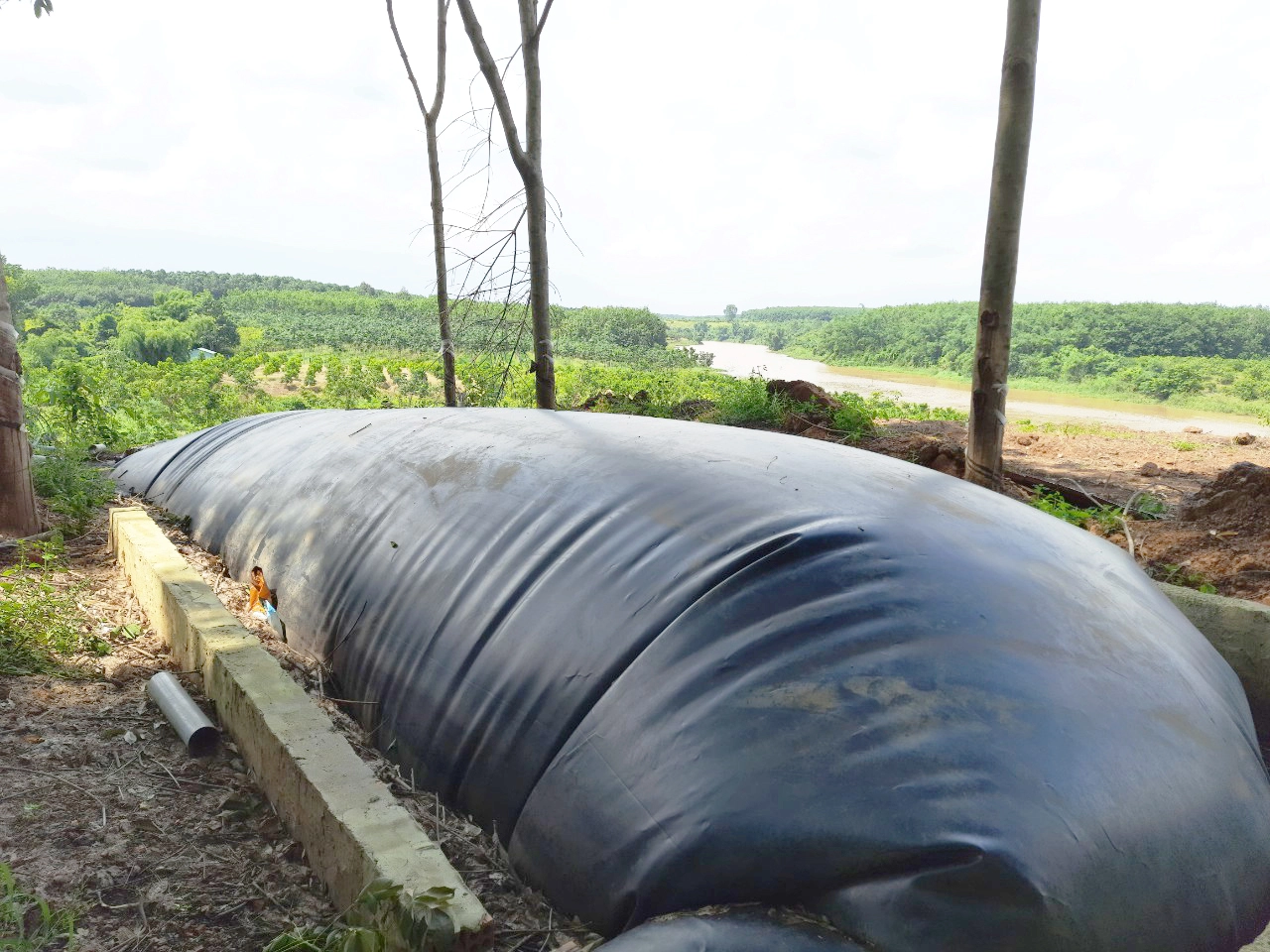 biogas bằng bạt HDPE.webp