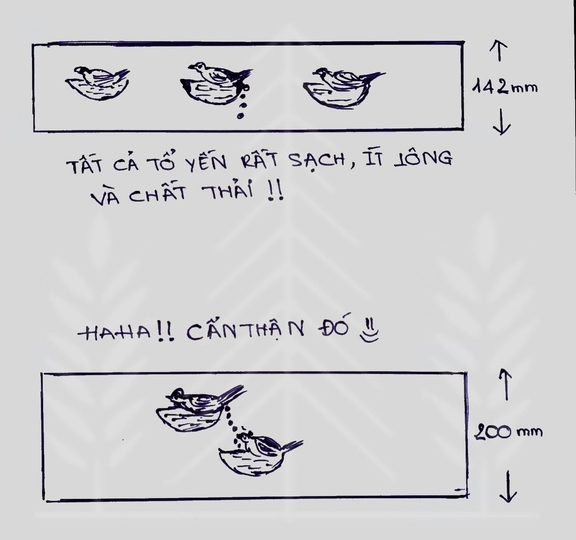 Bitrade Co. Ltd.webp