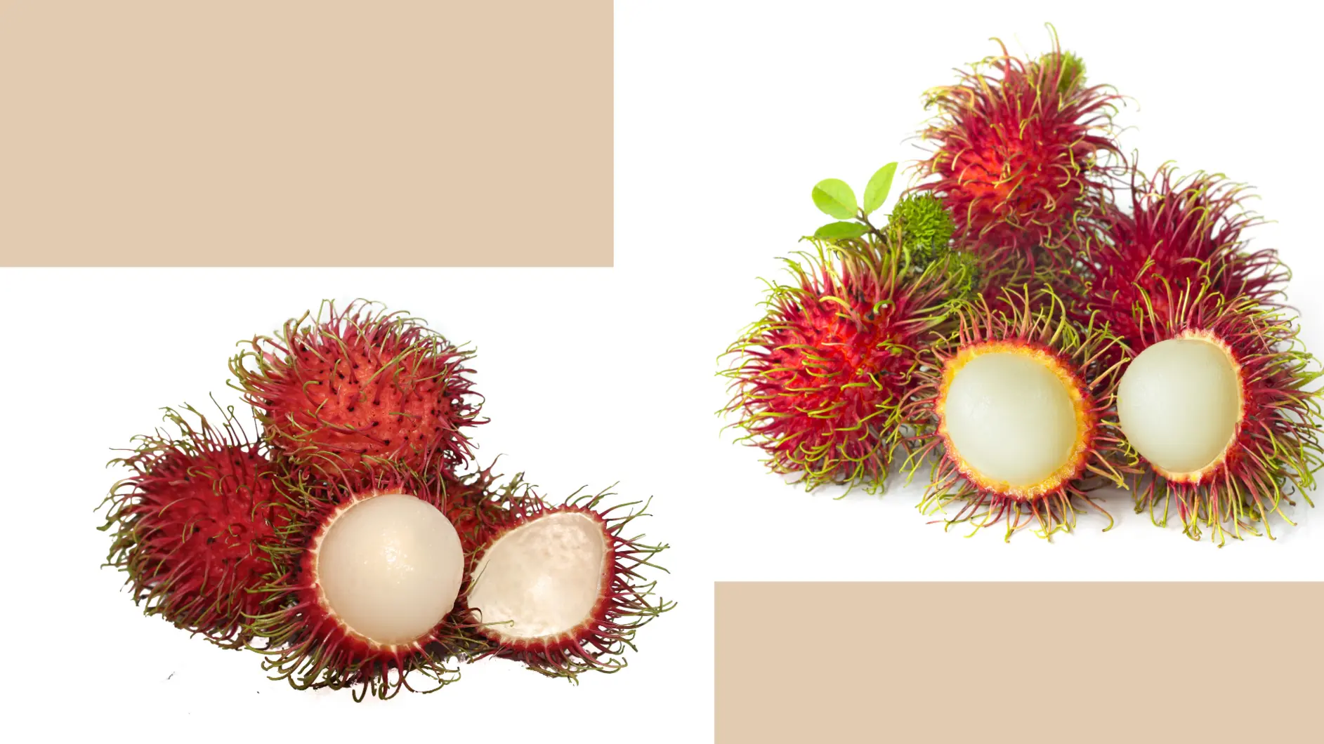 Black and White Chalkboard Brainstorm Presentation (1).webp