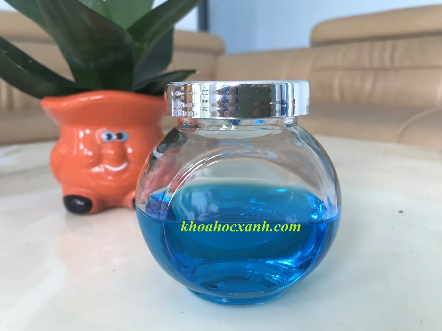 blue chealate 06.2020.webp