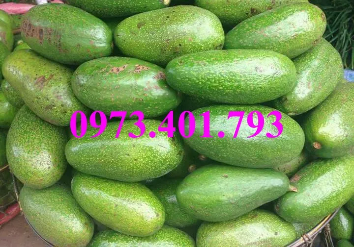 bo sáp2_result.webp