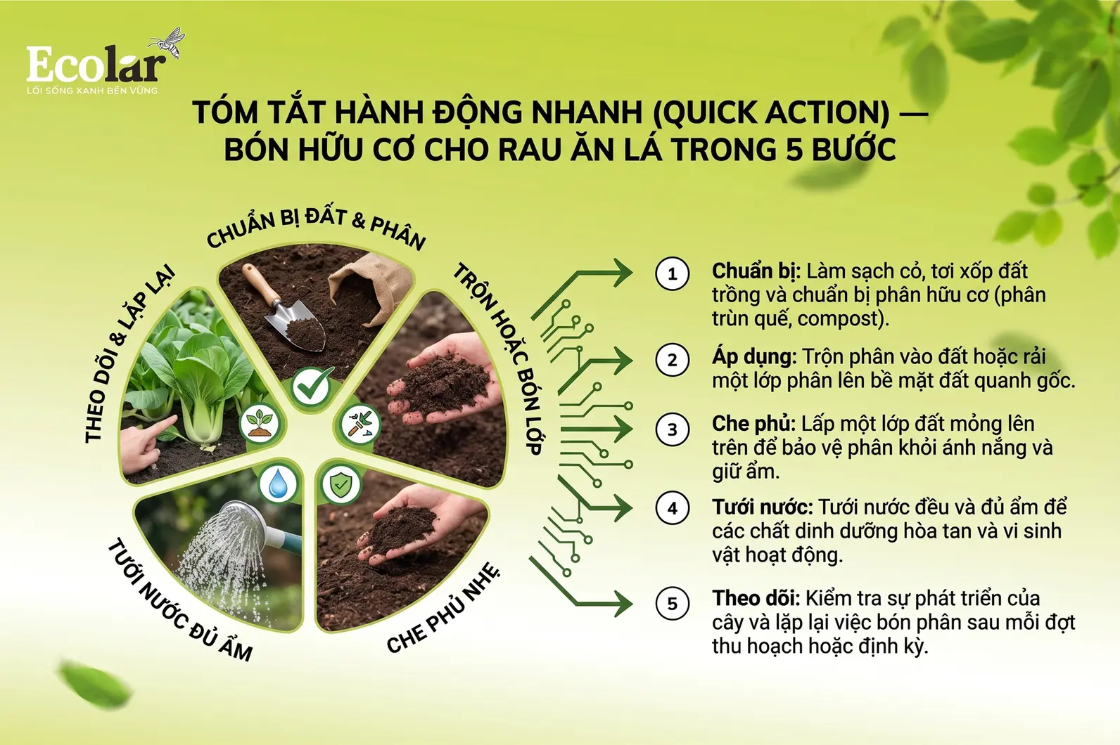 bon-huu-co-cho-rau-an-la-trong-5-buoc_752b9144777d47948d76bdc02452f387.webp