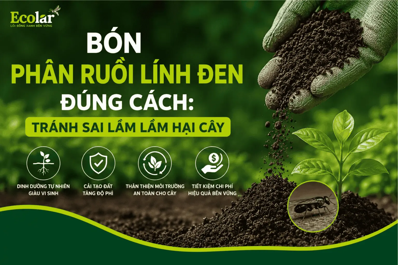 bon-phan-ruoi-linh-den-dung-cach-tranh-sai-lam-lam-hai-cay_02e5ffa62e1f46a9afd33df100470882 (1).webp