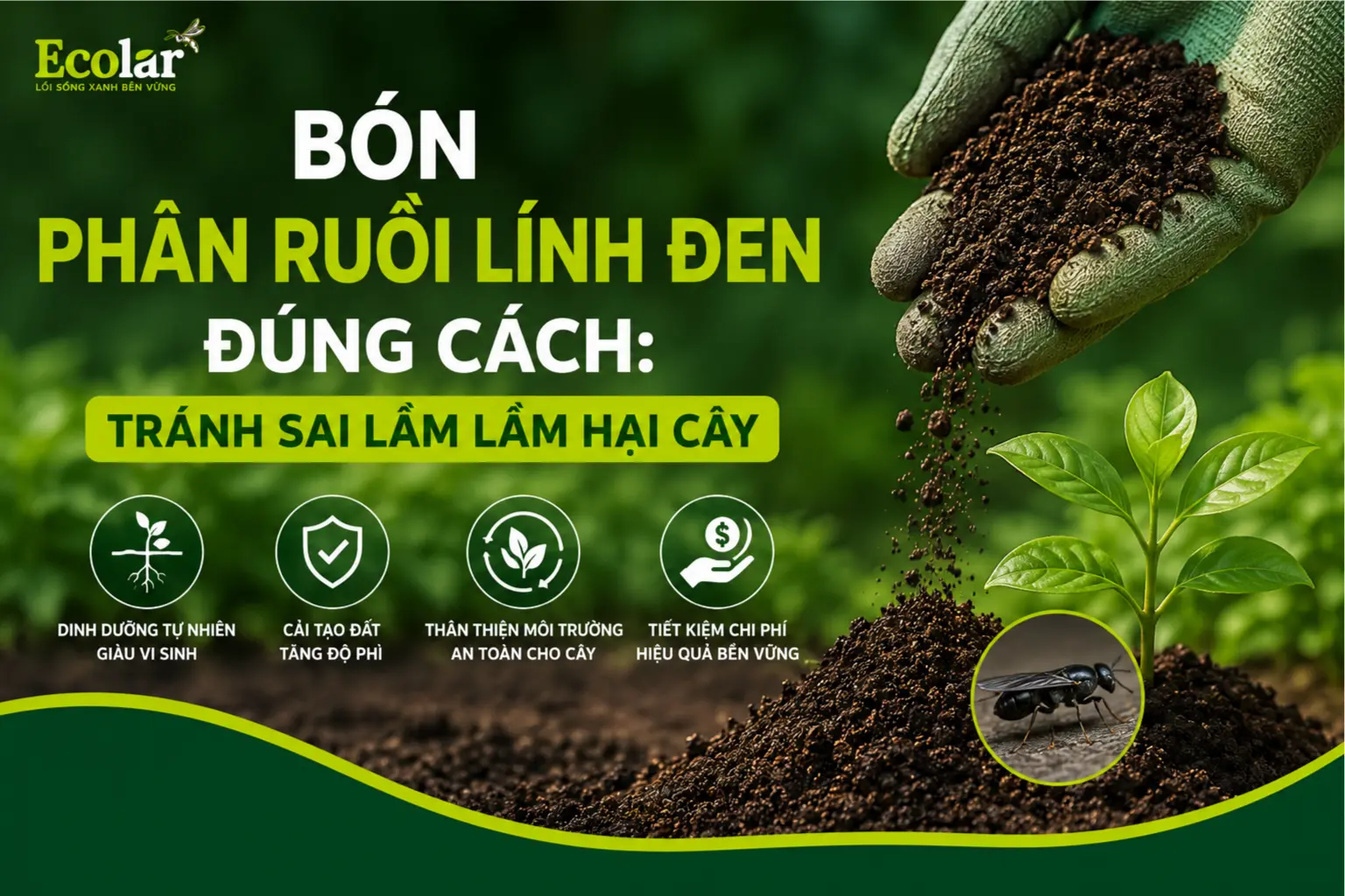 bon-phan-ruoi-linh-den-dung-cach-tranh-sai-lam-lam-hai-cay_02e5ffa62e1f46a9afd33df100470882.webp