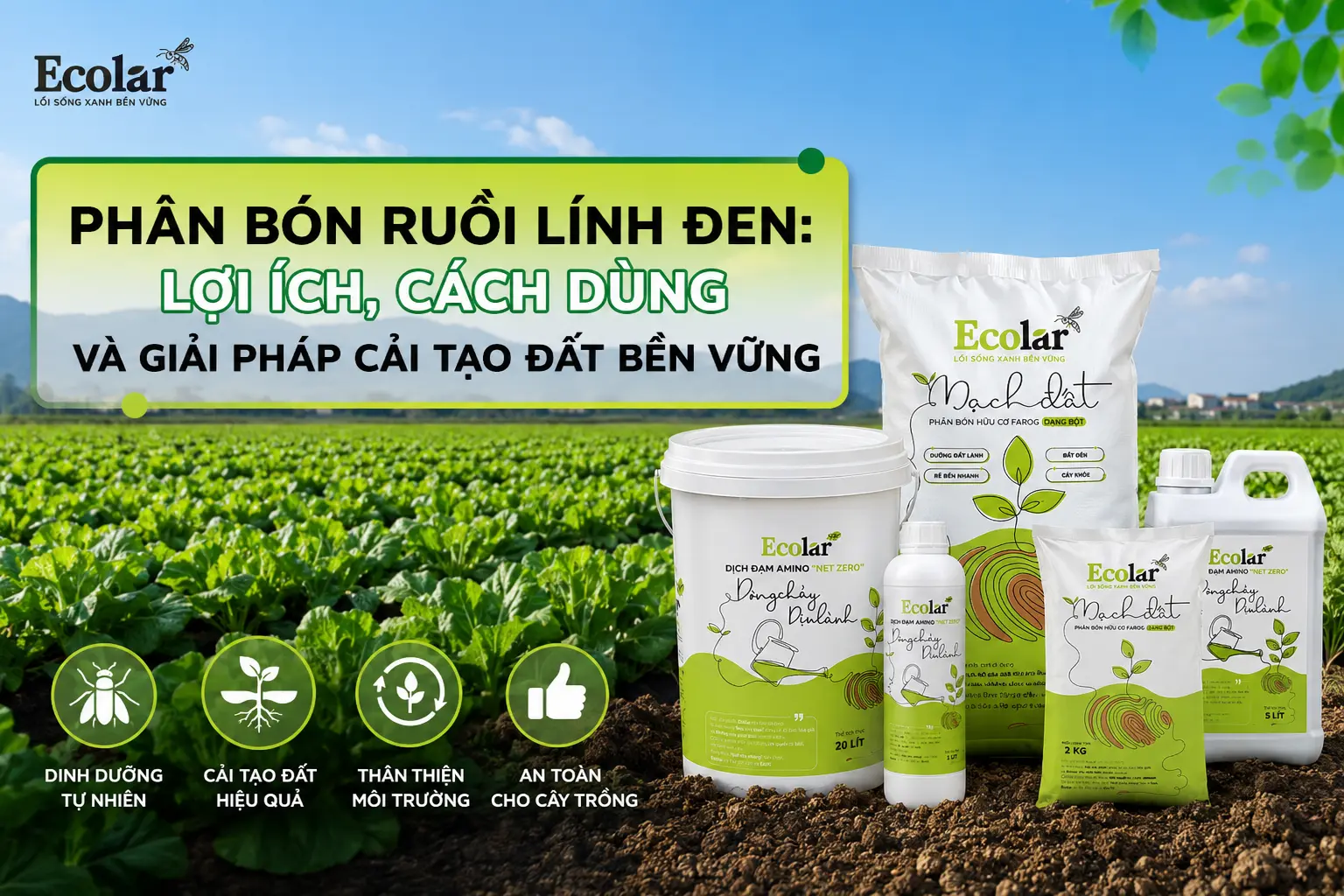 -bon-ruoi-linh-den-loi-ich-cach-dung-va-giai-phap-cai-tao-dat-ben-vung_be07e633a7c74ea3b9875e...webp