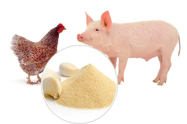 Bán Enzyme Cellulase cho chăn nuôi thú y cho chăn nuôi có chất lượng cao, giá cả cạnh tranh