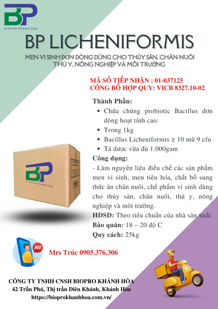 BP LICHENIFORMIS TRUC.webp