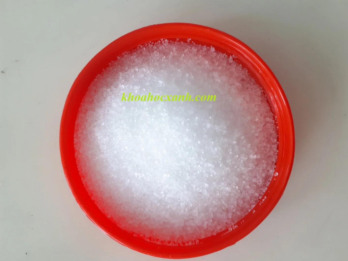 BRONOPOL 26-5-2019.webp