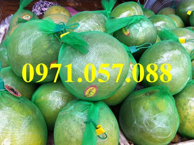 bưởi da xanh4_result.webp