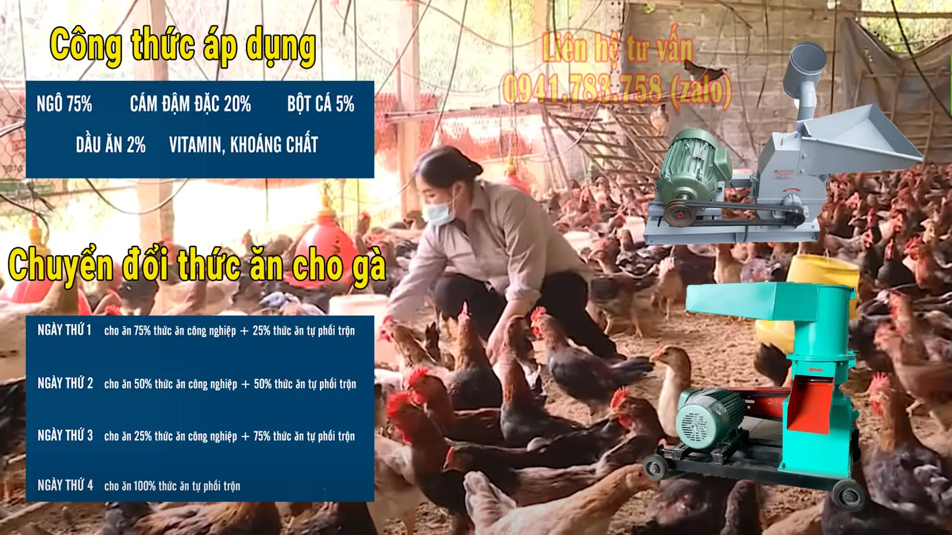 C hạnh - Hòa Bình.webp