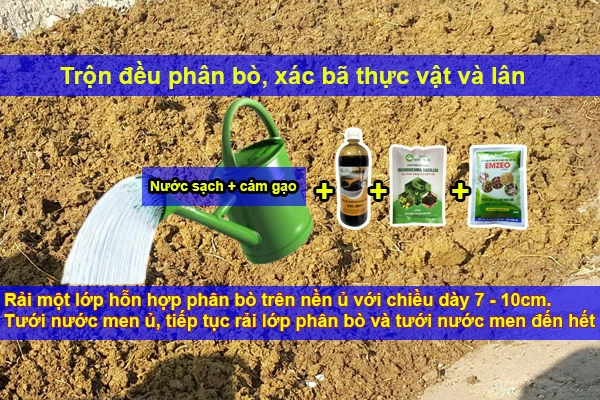 Cac-buoc-tien-hanh-u-phan-bo-bang-nam-trichoderma.webp