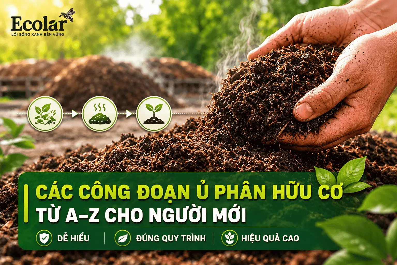 cac-cong-doan-u-phan-huu-co-tu-a-z-cho-nguoi-moi_.webp