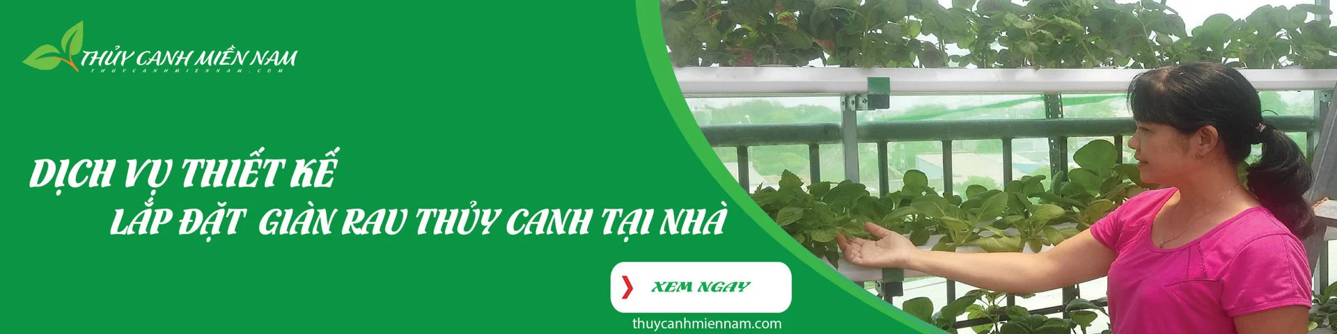 cac-loai-rau-trong-ngan-ngay.webp cac-loai-rau-trong-ngan-ngay.webp