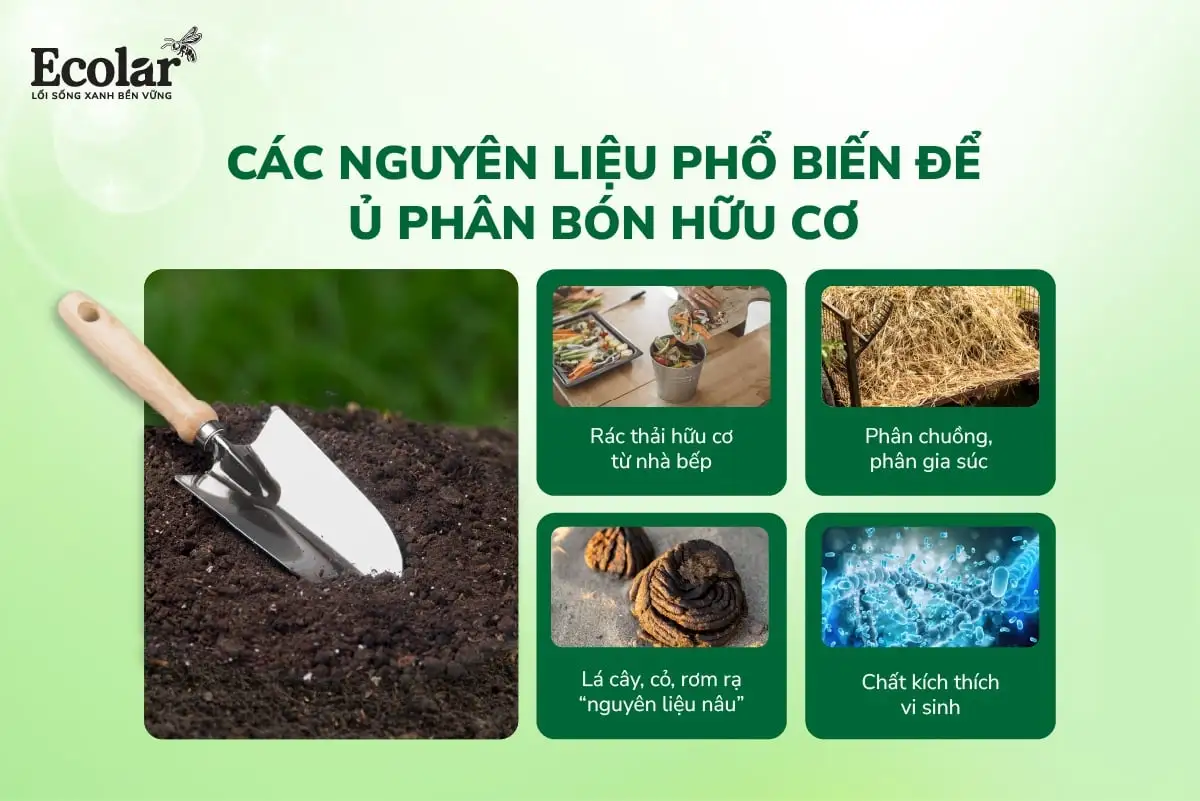 các nguyên liệu.webp