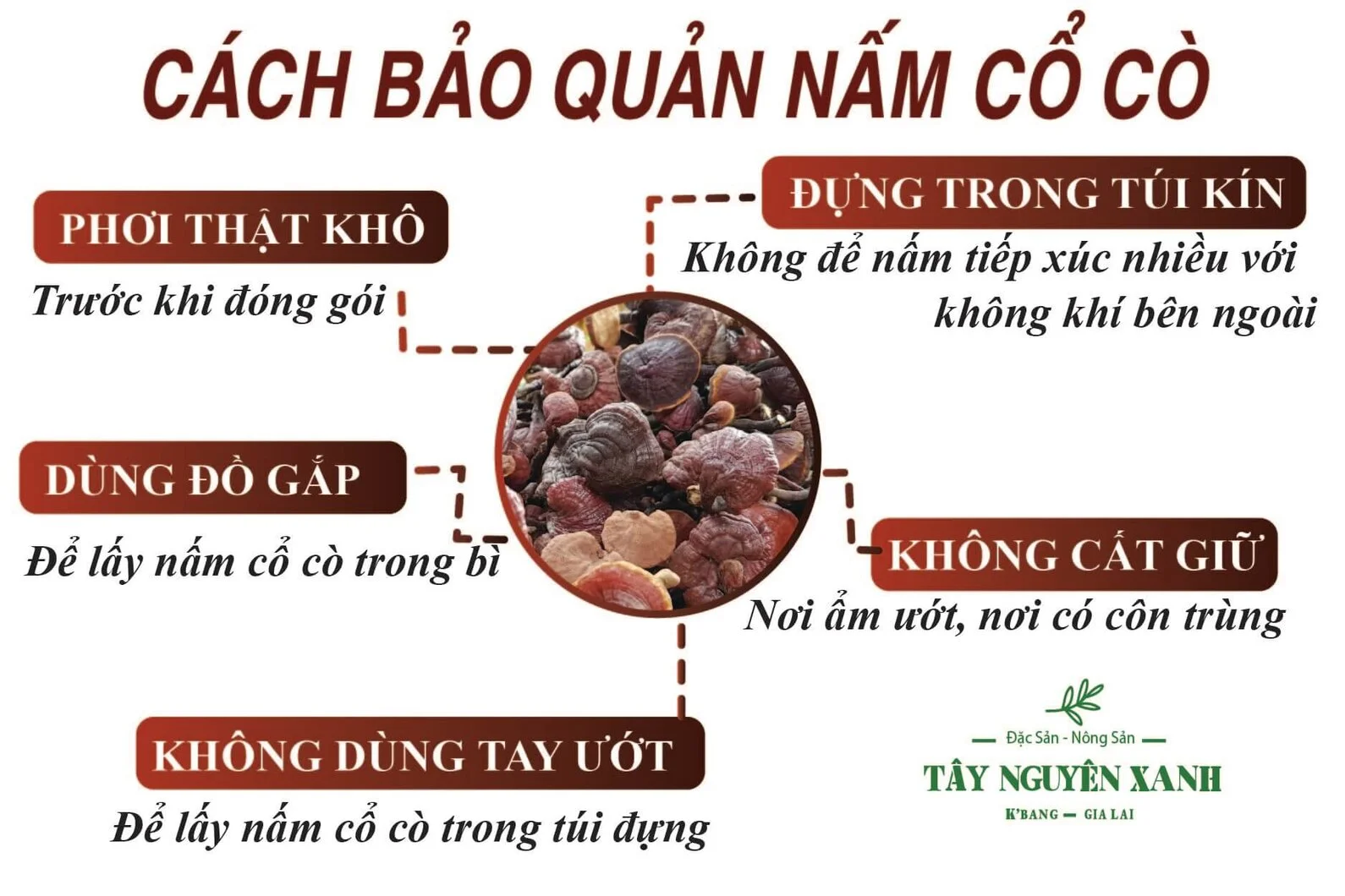 cach-bao-quan-nam-co-co.webp