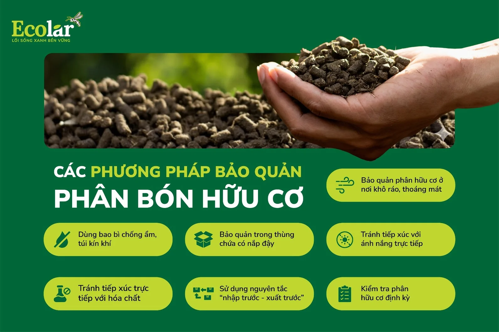 cách bảo quản.webp