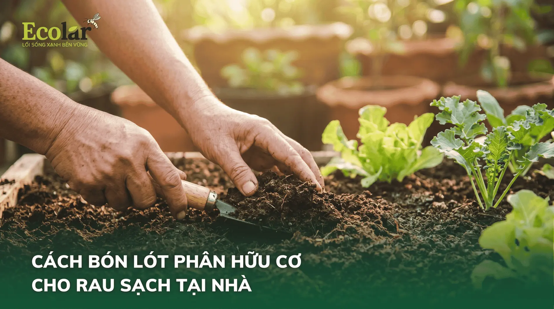 cach-bon-lot-phan-huu-co-cho-rau-dung-cach-truoc-khi-trong_9aaea481d443429383ab3d6078b24a50 (1).webp