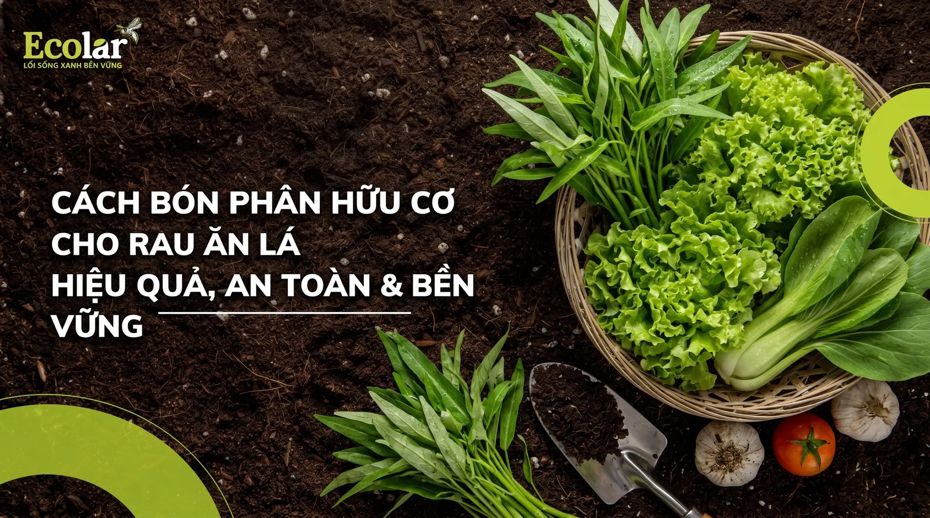 cach-bon-phan-huu-co-cho-rau-an-la-dung-cach-va-hieu-qua_e98023a00fcb4f74b5c063df08c757b0.webp