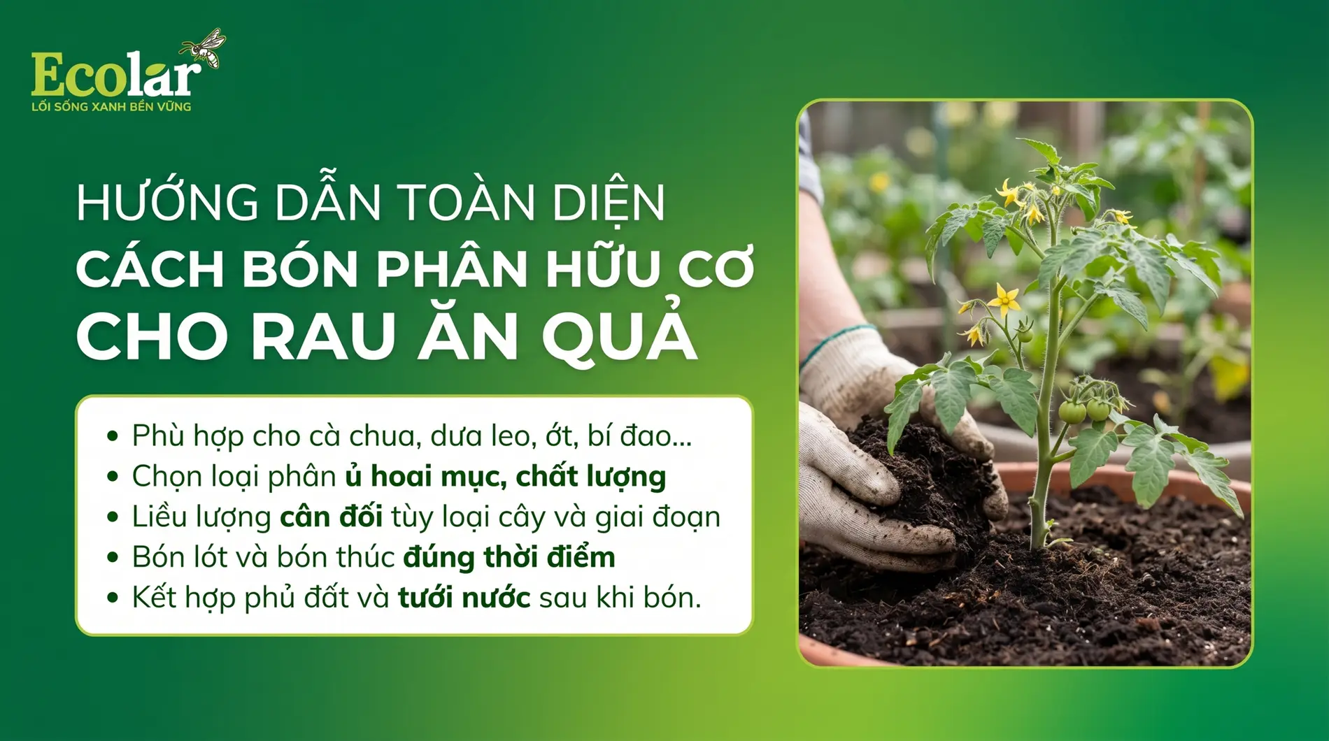 cach-bon-phan-huu-co-cho-rau-an-qua-theo-tung-giai-doan-phat-trien_6b3a1e41bd174de6b5d48ff305...webp