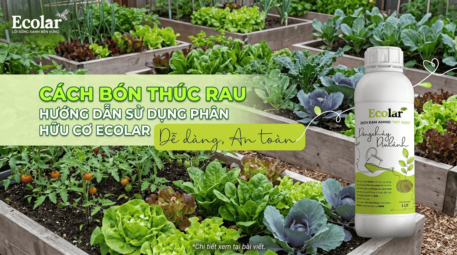 cach-bon-thuc-rau-bang-phan-huu-co-dung-cach-sau-khi-trong_f57d6ba393314ca48015faf05c0a5638.webp