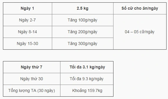 Cách cho tôm thẻ chân trắng ăn