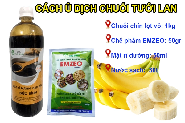 Cach-lam-dich-chuoi-tuoi-lan.webp