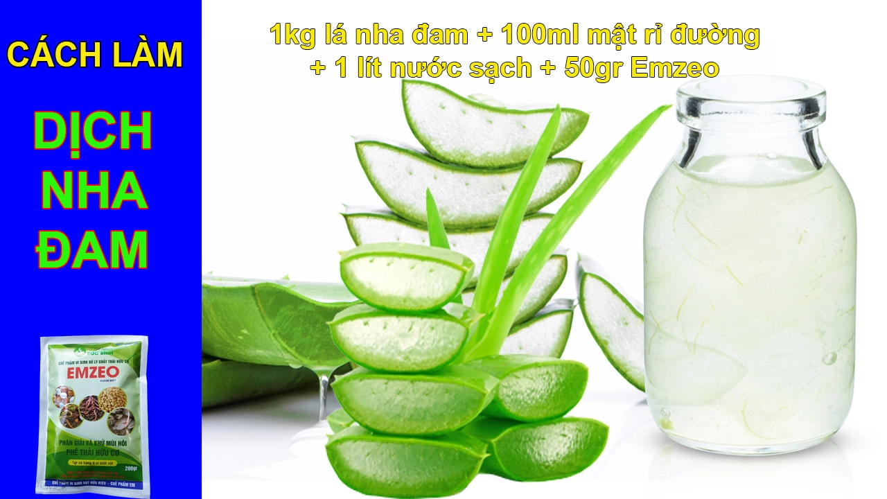 cach-lam-dich-nha-dam.webp