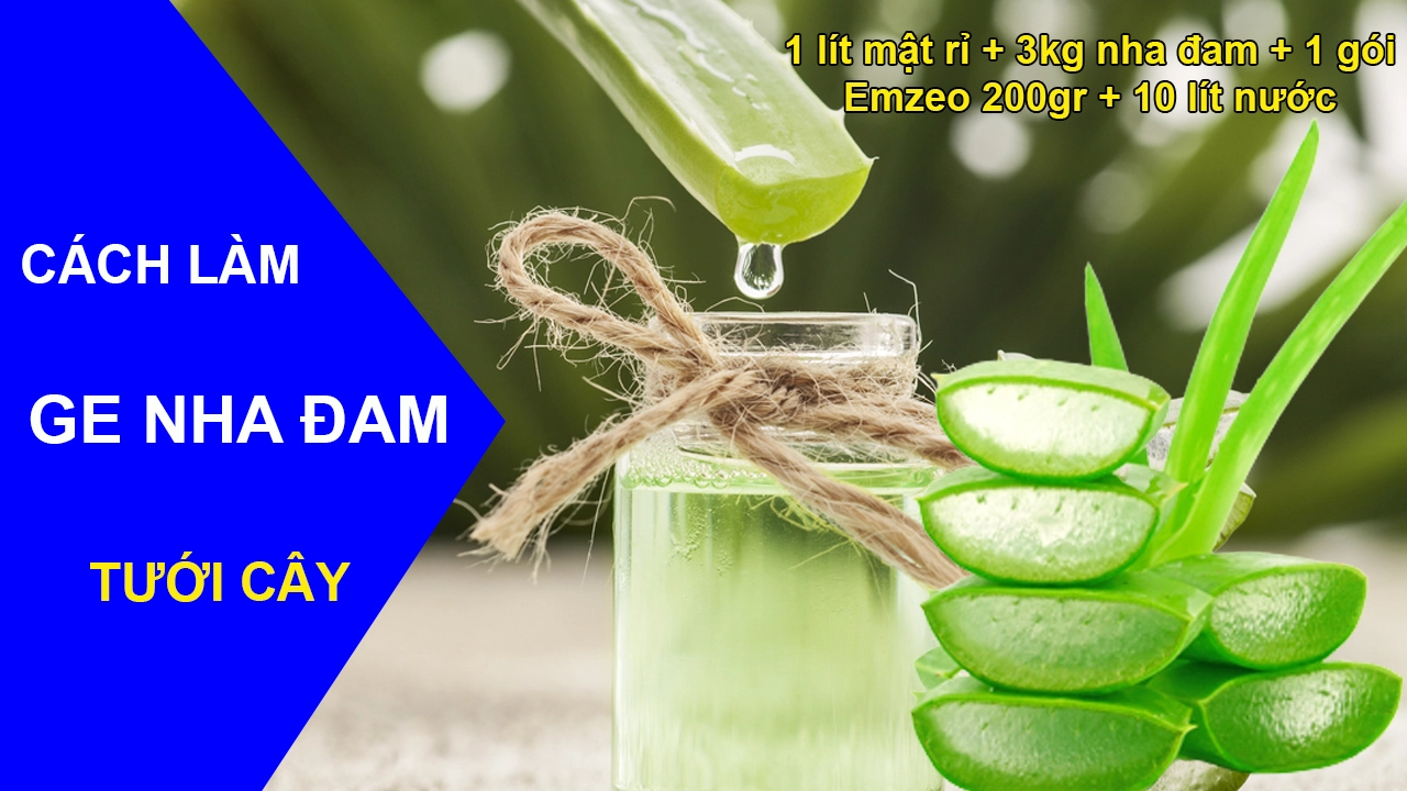 cach-lam-GE-nha-dam.webp
