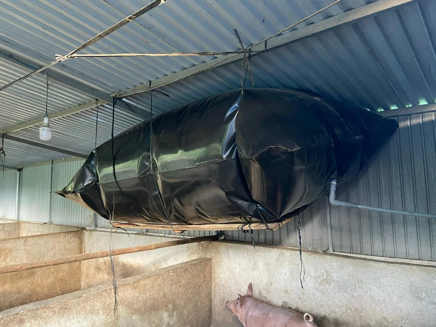 Túi trữ khí biogas công dụng ra sao?