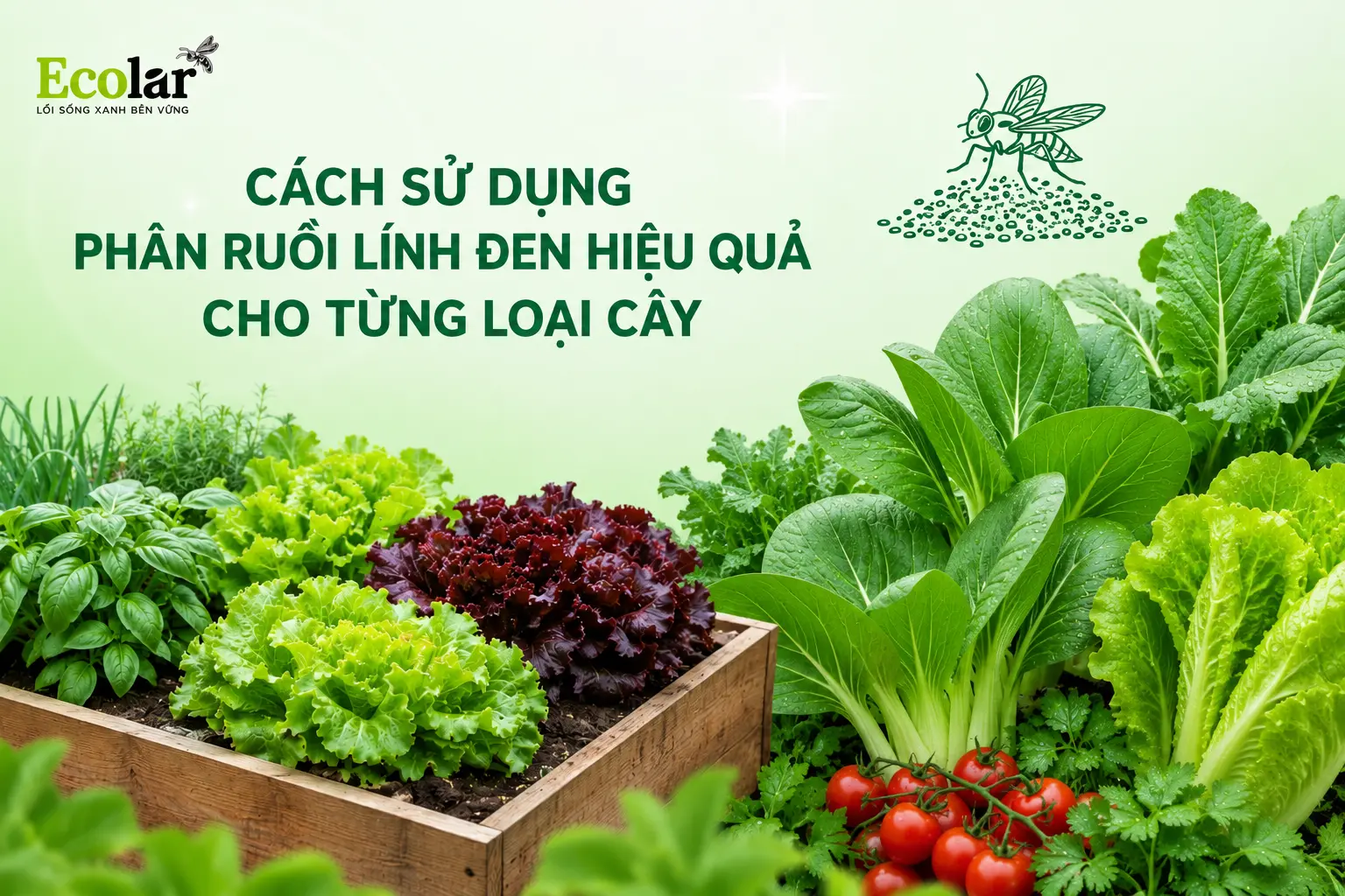 cach-su-dung-phan-ruoi-linh-den-hieu-qua-cho-tung-loai-cay_e2eb4626e5f046d7bb91e5ed88bd4a76.webp