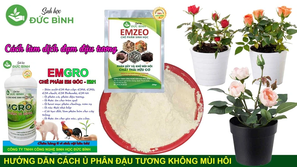 Cách ủ phân đậu tương.webp