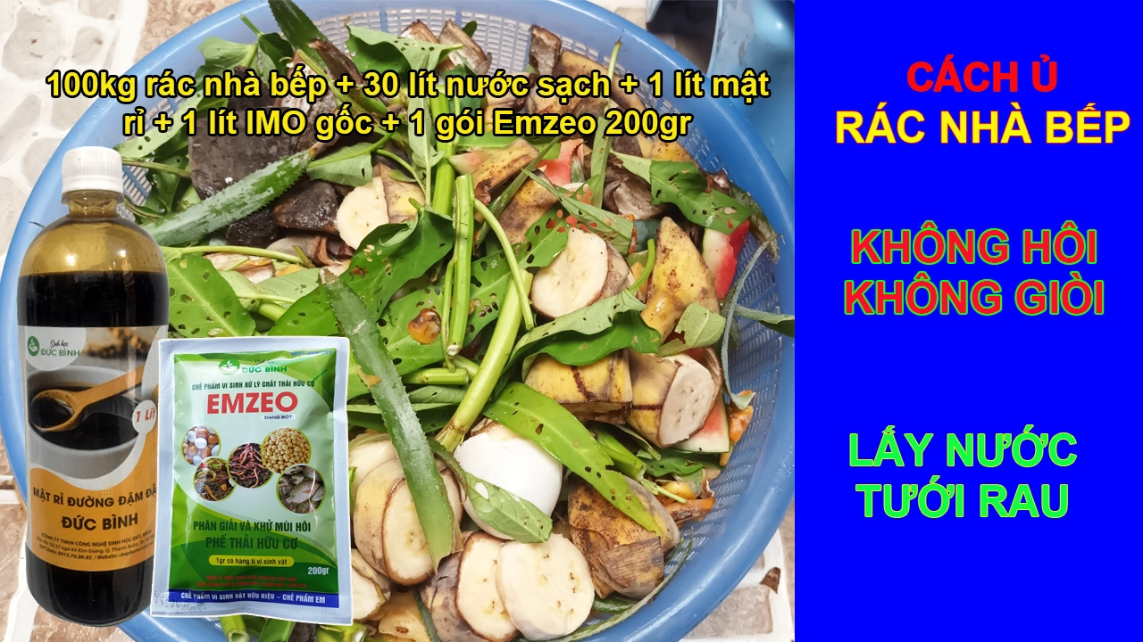 cach-u-rac-nha-bep.webp